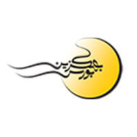 لوگو کارگزاری بورس بهگزین - شرکت مدیریت سرمایه